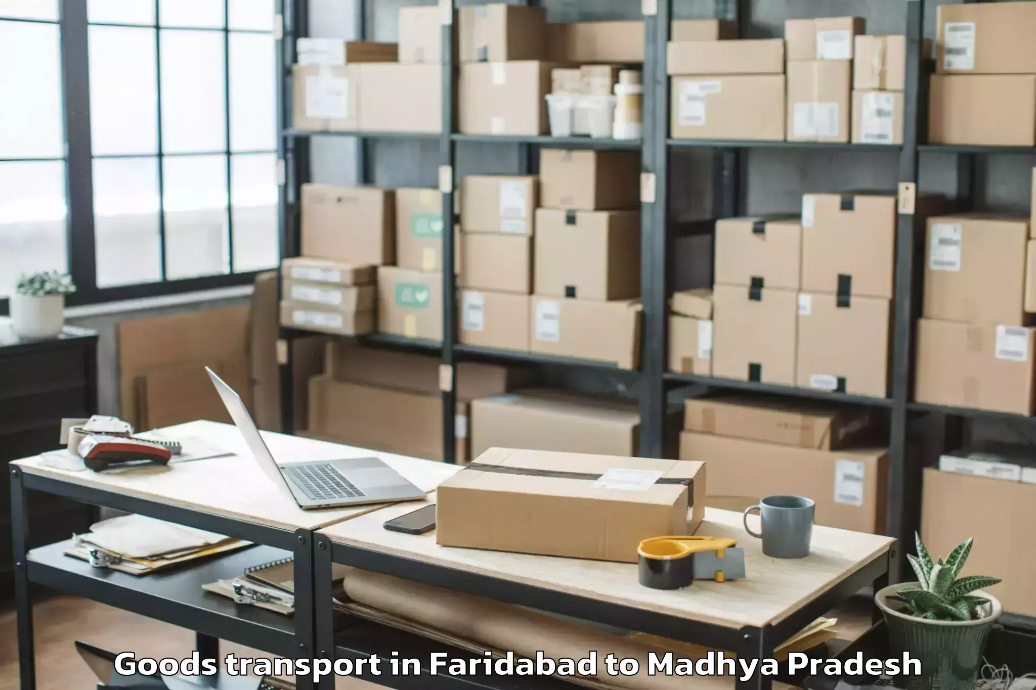 Top Faridabad to Dhamnod Goods Transport Available